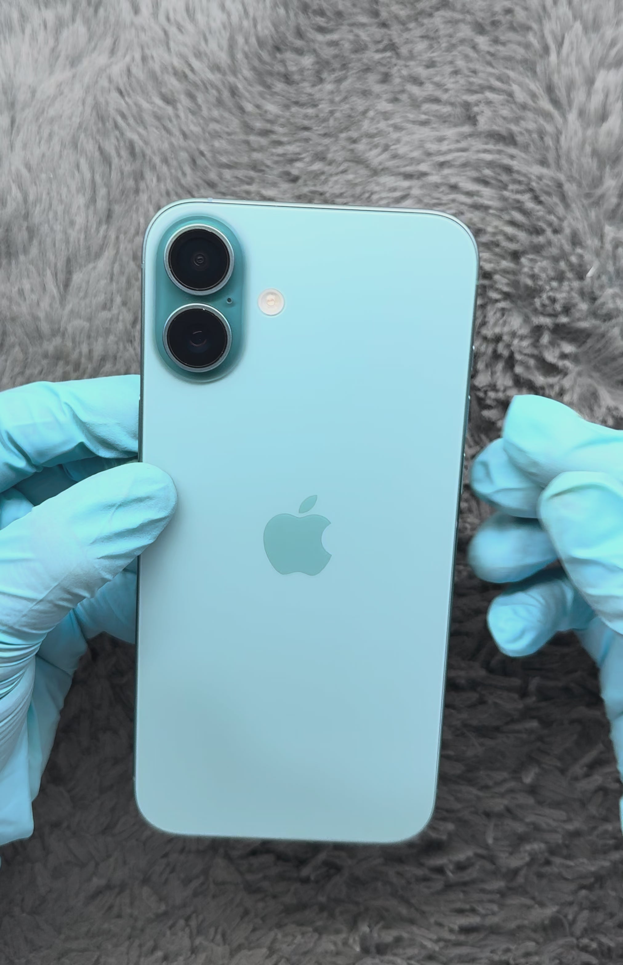 iPhone 16 Plus