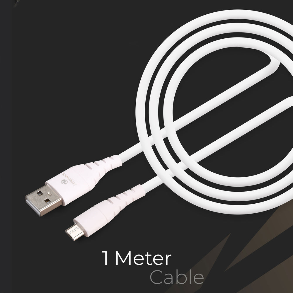 Zebronics MA102B Type-C Charger- New